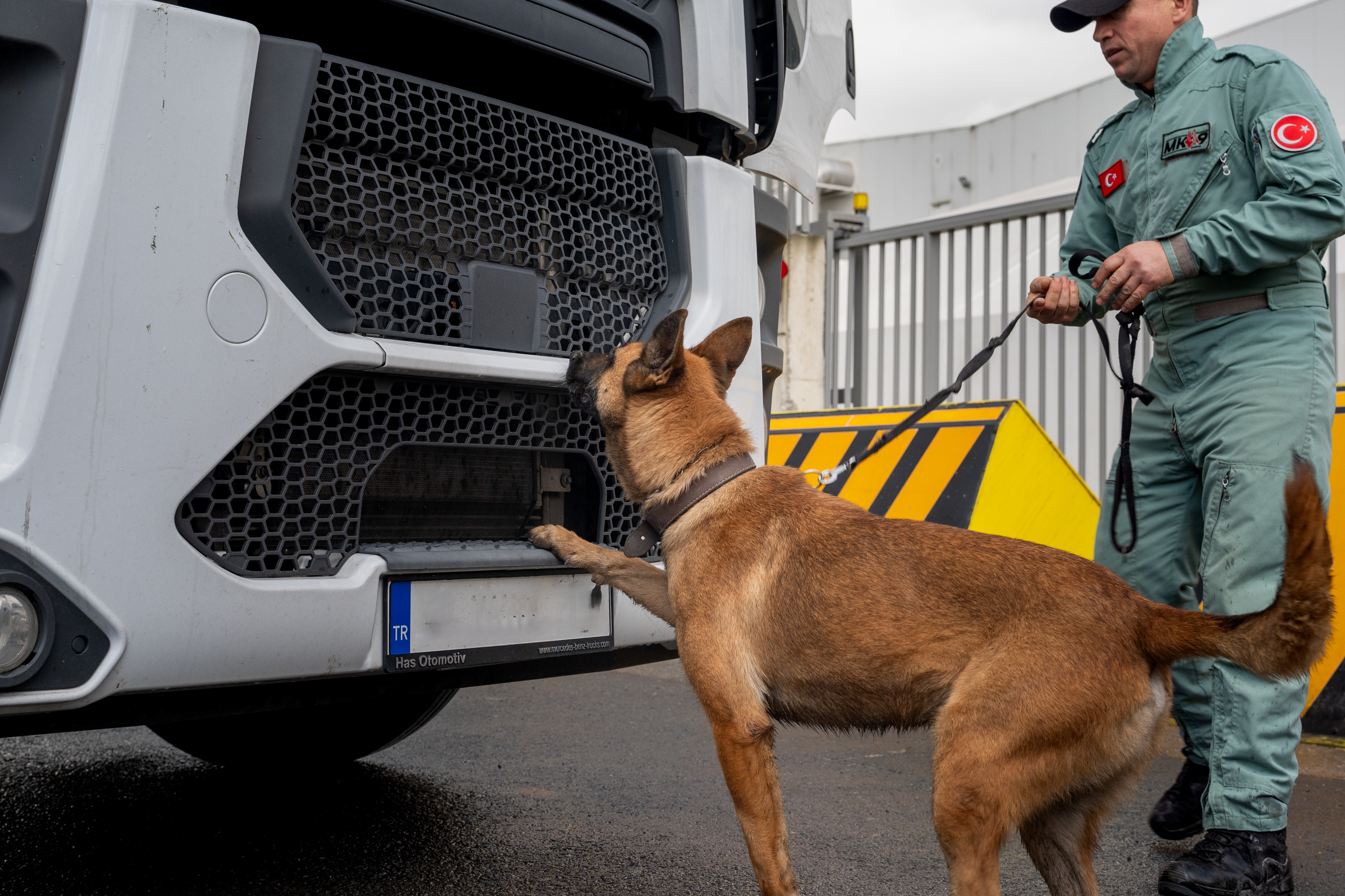 Köpek Eğitim Merkezi